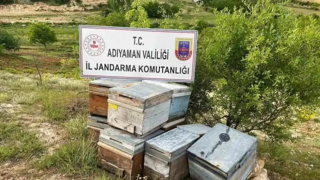 Adıyaman'da arı kovanları jandarma tarafından bulundu