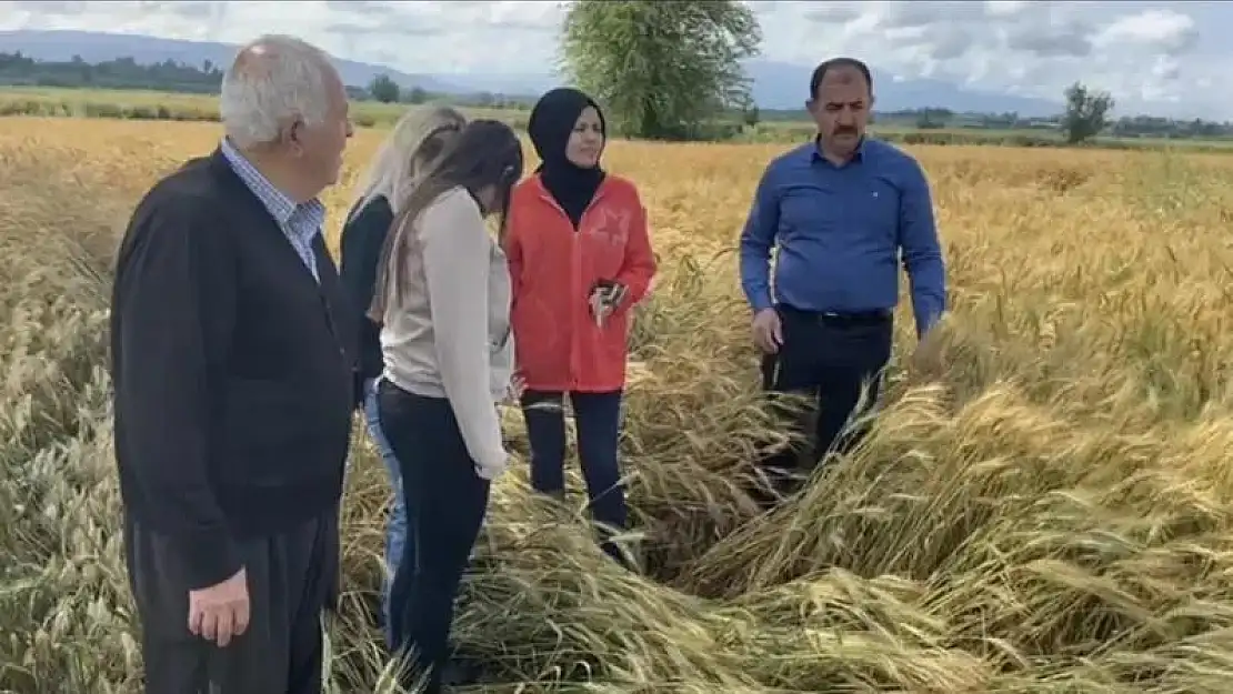 Osmaniye'de sağanak tarım arazilerine zarar verdi
