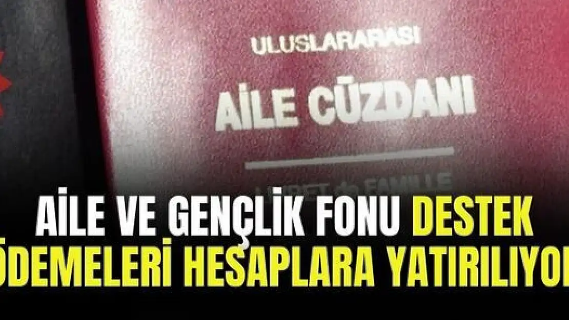 Aile ve Gençlik Fonu faizsiz evlilik kredisi ve iş kurma kredisi ödemeleri hesaplara yatırılıyor 