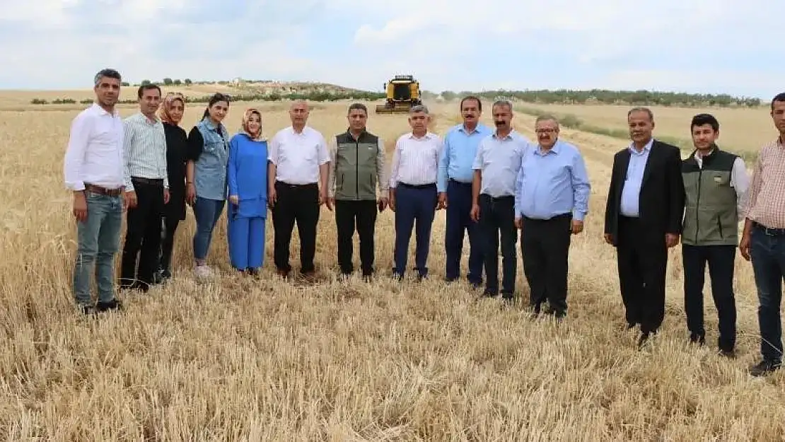 Adıyaman'da Arpa hasadı başladı