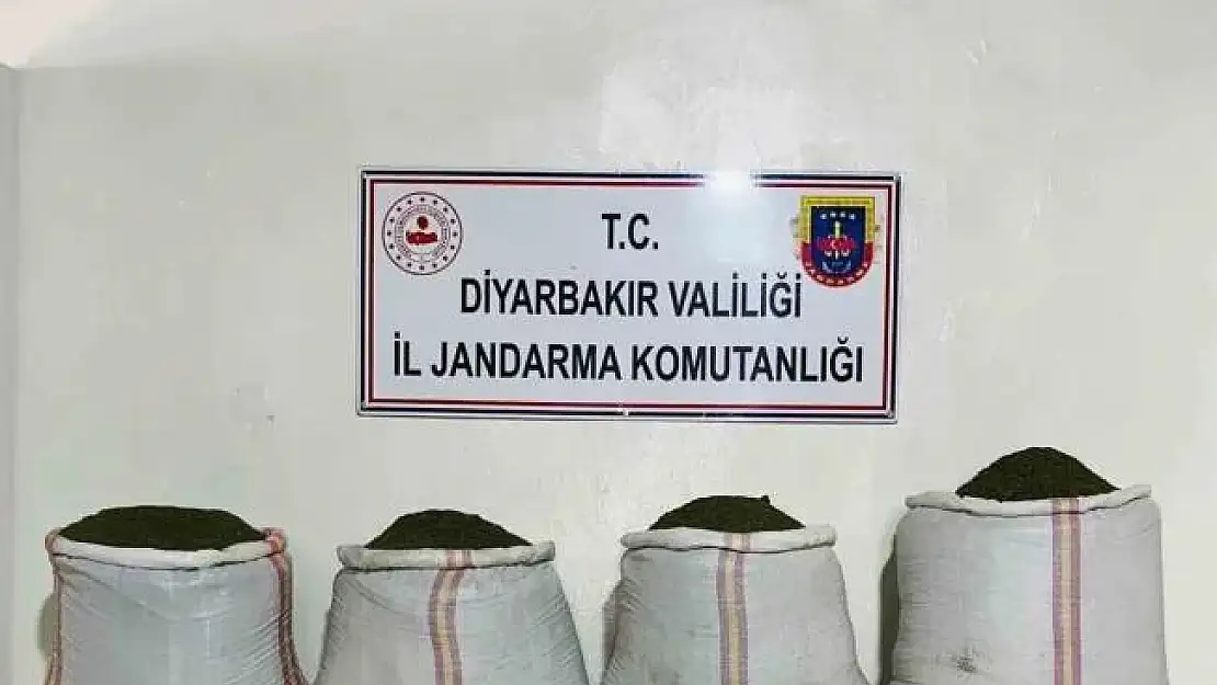 Diyarbakır'da 34 bin 500 kök kenevir ve 112 kilo esrar ele geçirildi
