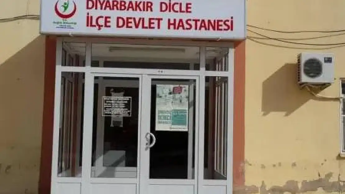 Diyarbakır'da başıboş köpek tarafından ısırılan kadın yaralandı
