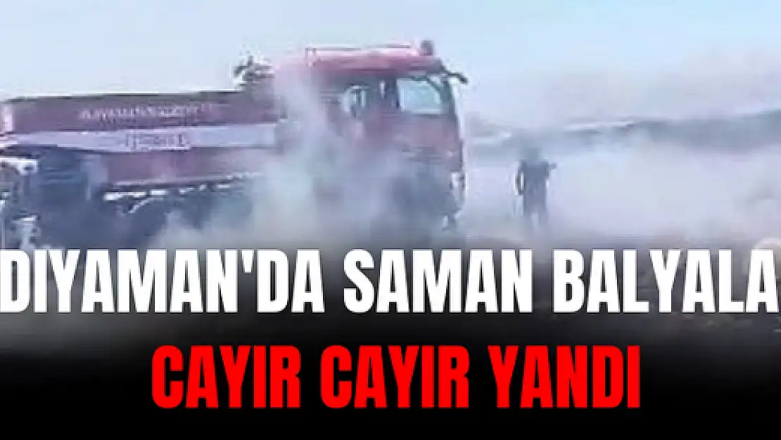 Adıyaman'da Saman balyaları cayır cayır yandı