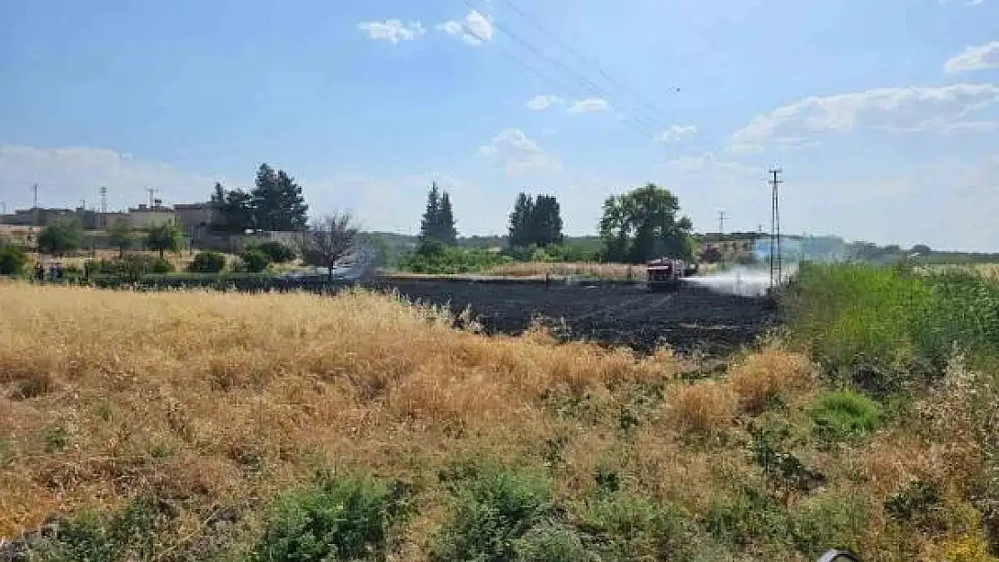 Gaziantep'te 10 dönüm buğday tarlası küle döndü
