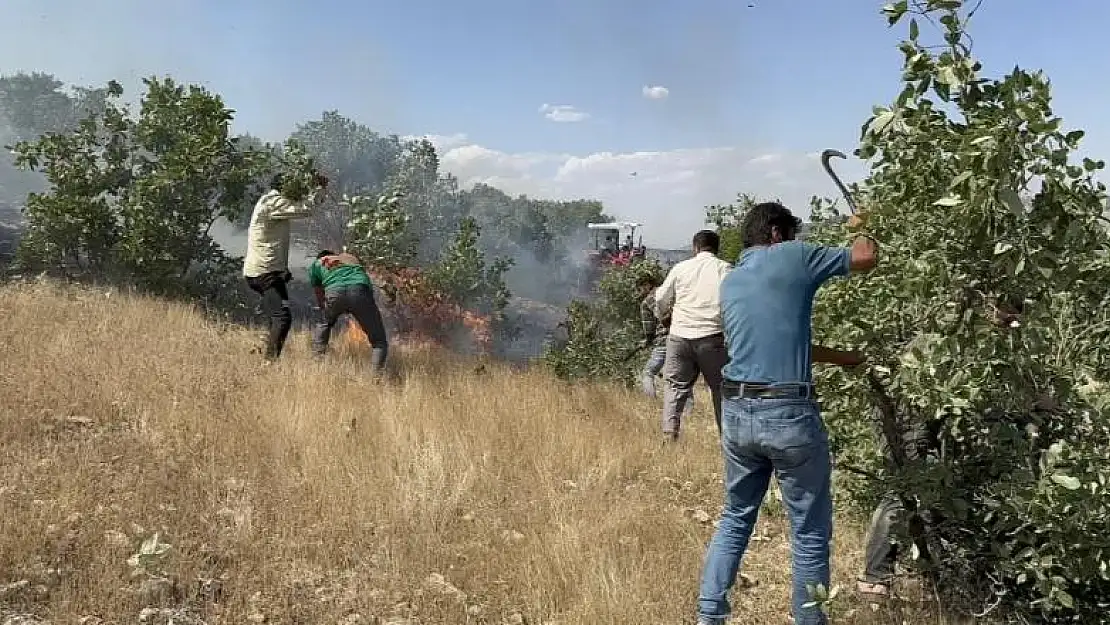 Mazıdağı'nda 20 dönüm ekili arazi küle döndü
