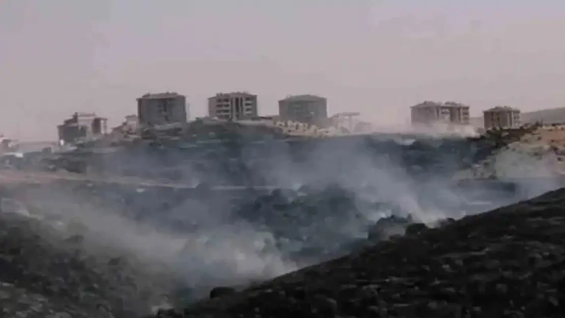 Gaziantep'te korkutan orman yangını
