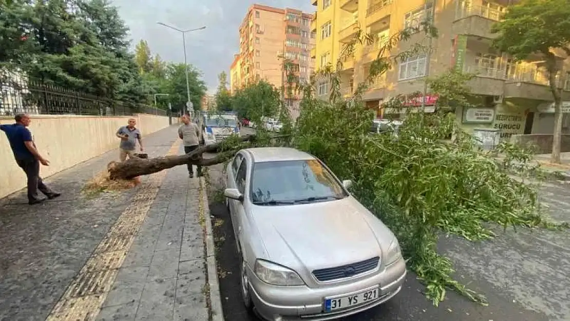 Diyarbakır'da dev ağaç otomobilin üstüne devrildi
