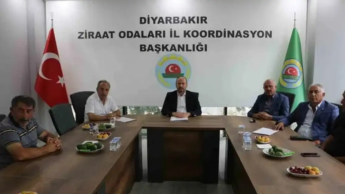 Diyarbakır'da çiftçiler hububat fiyatlarından memnun değil
