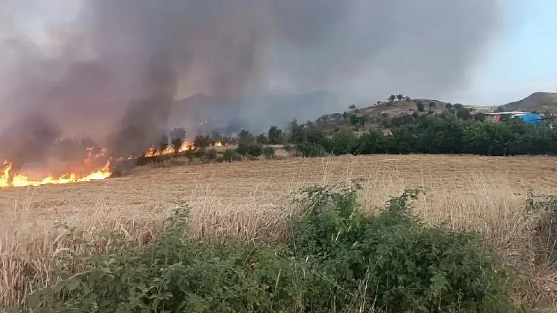 Saman yangınında hayvanlar tahliye edildi