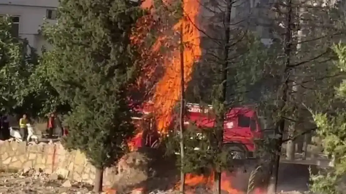 Adıyaman'da Çam ağaçları cayır cayır yandı