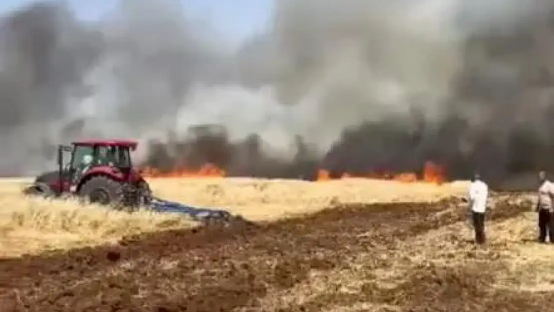 Mardin'de ekili arazide yangın, müdahale çalışmaları sürüyor
