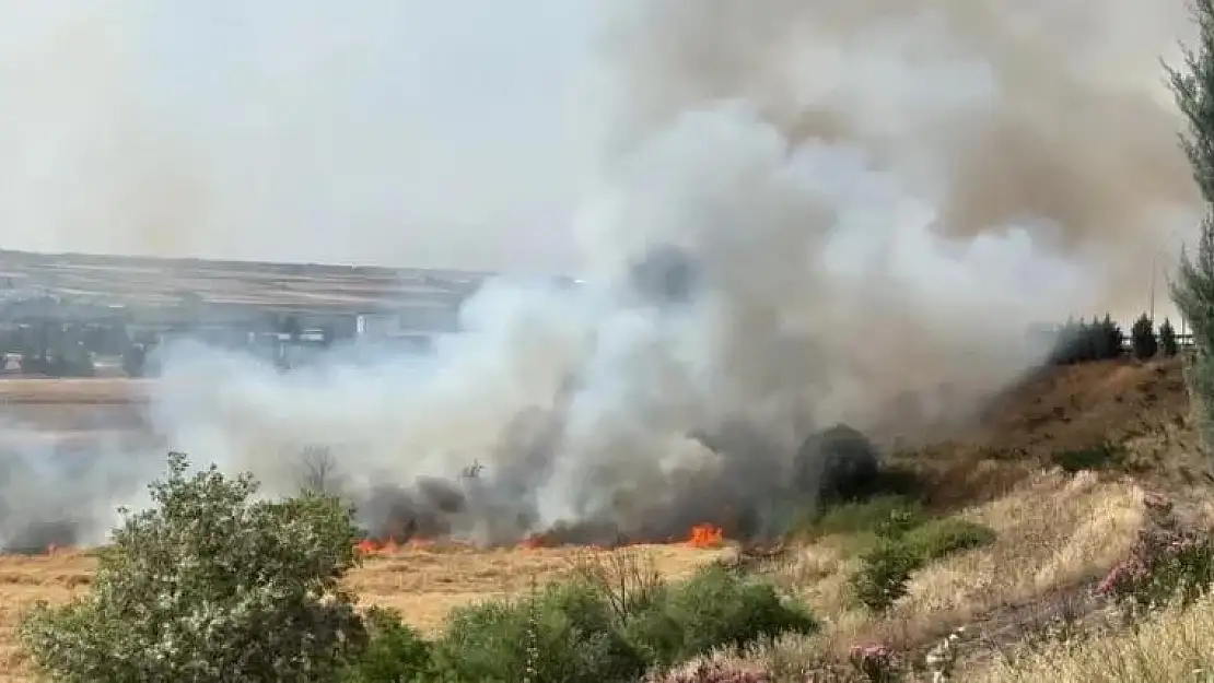 Diyarbakır'da 300 dönüm ekili buğday yandı
