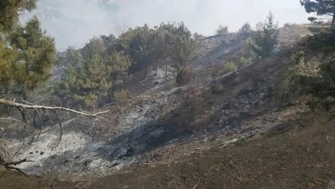 Ormanlık alanda çıkan örtü yangını söndürüldü