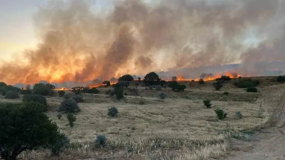 Mardin'de ormanlık alanda çıkan yangın söndürüldü
