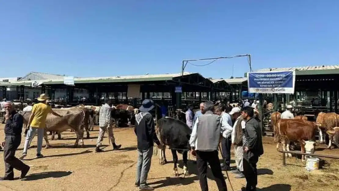 Kurbanlık keçisini dolandırıcılara kaptıran yetiştiricinin imdadına polis yetişti
