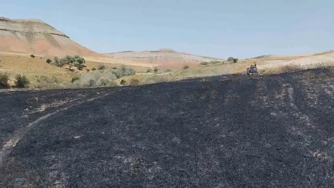 Yangın badem ve fıstık ağaçlarına zarar verdi
