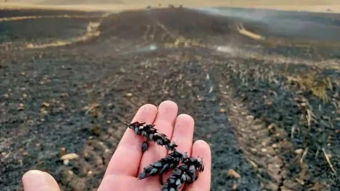 Diyarbakır'da ekin tarlasında yangın
