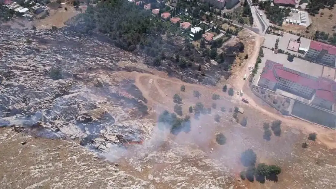 Adıyaman'da örtü yangınında meyve ağaçları zarar gördü