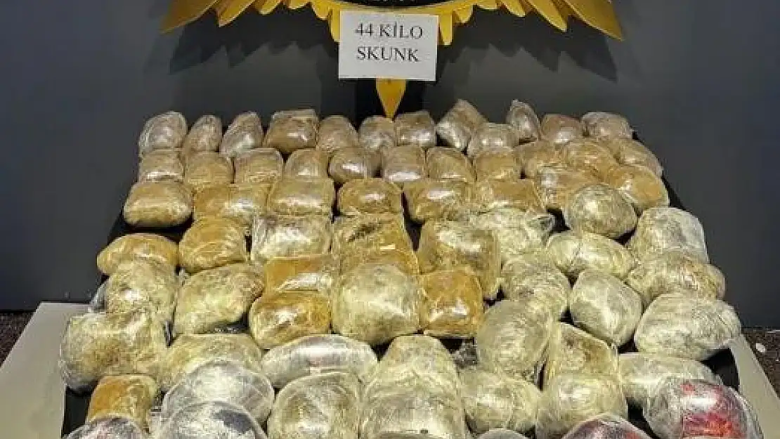 Malatya'da 44 kilogram skunk ele geçirildi
