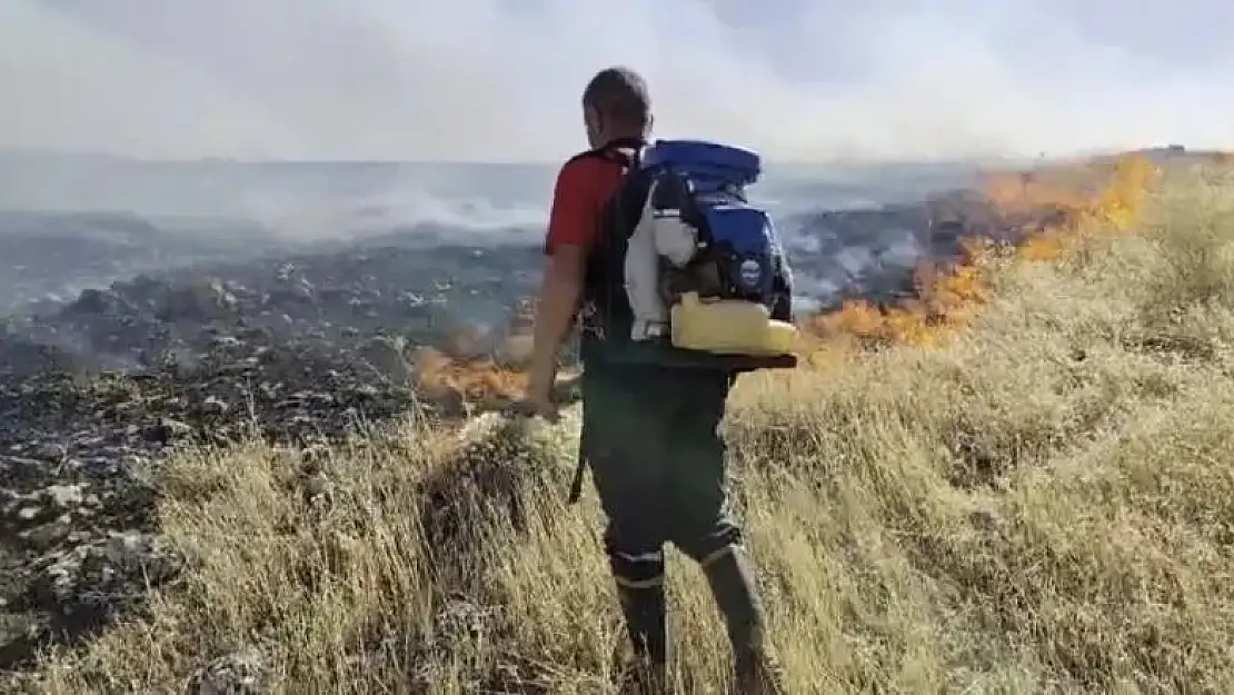 Mardin'de 3 ayrı noktada anız yangını
