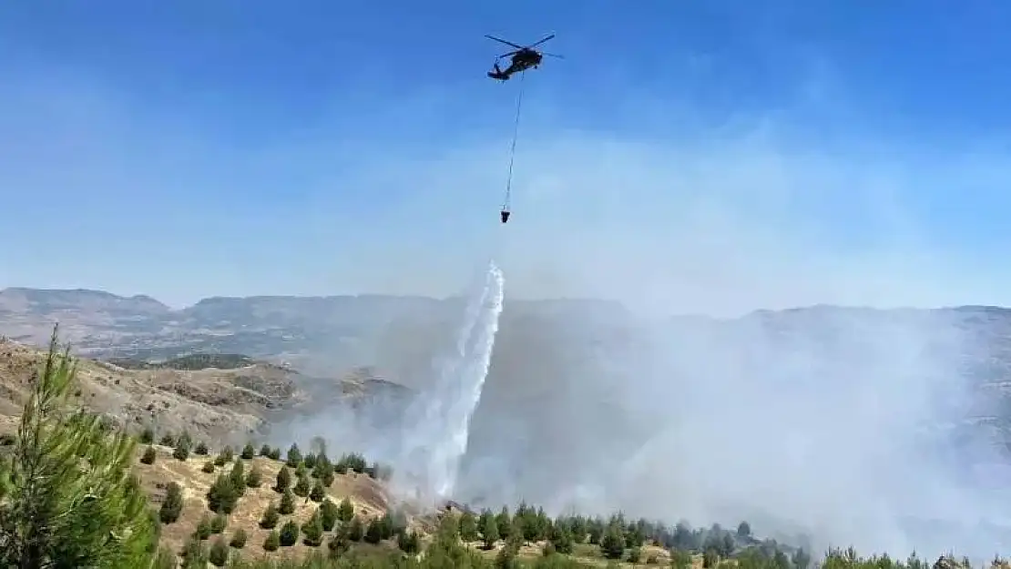 Çobanın çay ateşi ormana sıçradı