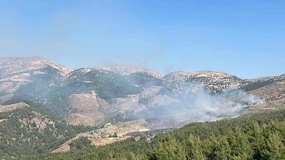 Kahramanmaraş'ta orman yangını: Ekipler müdahale ediyor