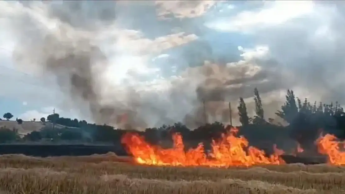 Anız yangını ormana sıçramadan söndürüldü