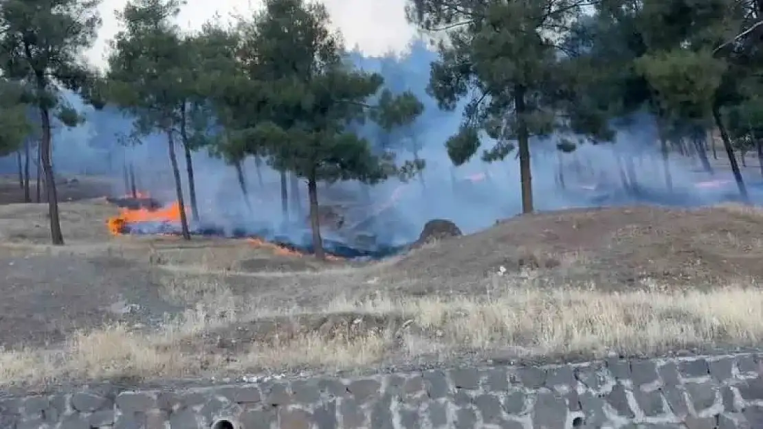 Gaziantep'te orman yangını
