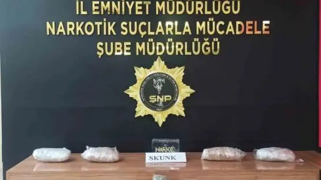 Şanlıurfa'da 6 kilo 550 gram skunk ele geçirildi
