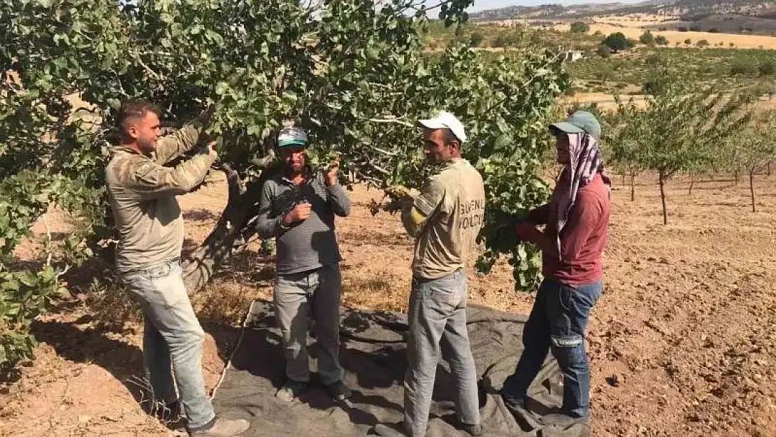 Şanlıurfa'da tarım işçilerin ücretleri belli oldu