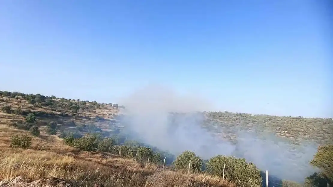 5 ayrı noktada çıkan yangın söndürüldü