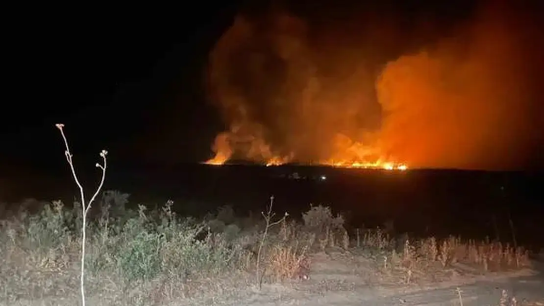 Lice'de gece başlayan orman yangını söndürüldü
