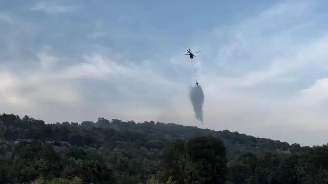 Diyarbakır'daki orman yangınları helikopter desteğiyle kontrol altına alındı
