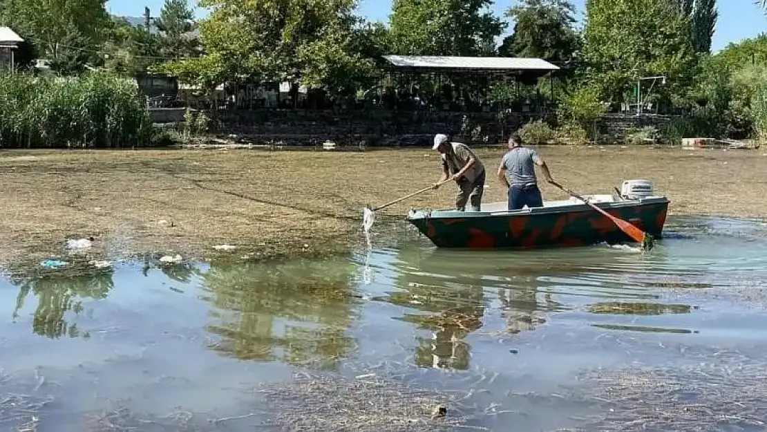 Doğa koruma ekipleri çöpleri temizliyor