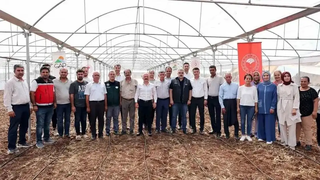 Devlet desteği ile kurulan seralar çiftçilere ciddi ekonomik katkı sağlayacak