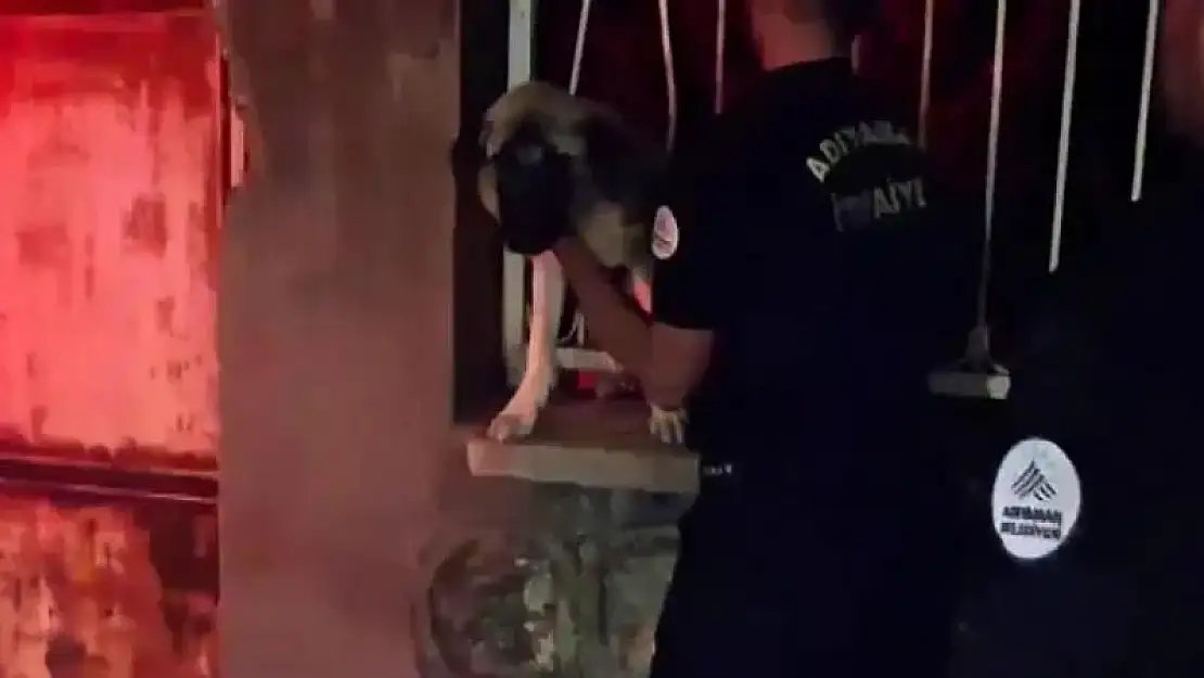 Korkuluklara sıkışan köpek kurtarıldı