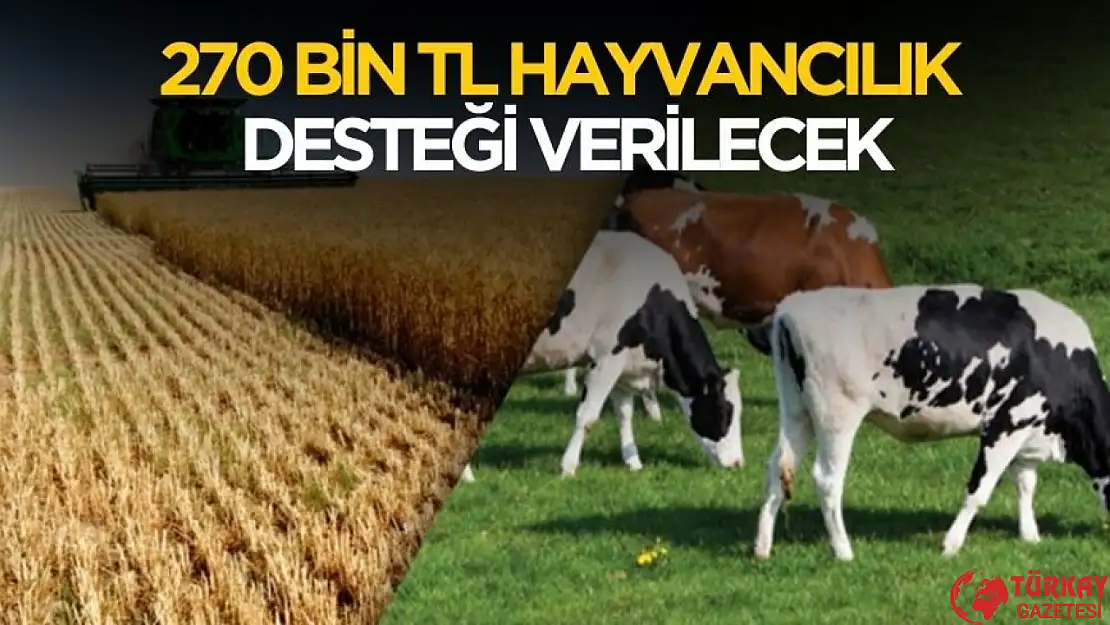 270 bin TL hayvancılık desteği sağlanacak