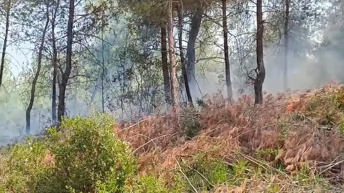 Adana'da orman yangını kontrol altına alındı