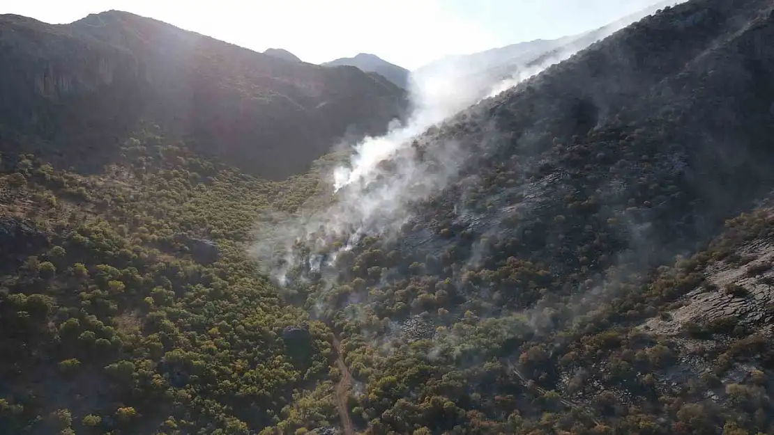 Adıyaman Gerger'de yangın 2 gündür devam ediyor