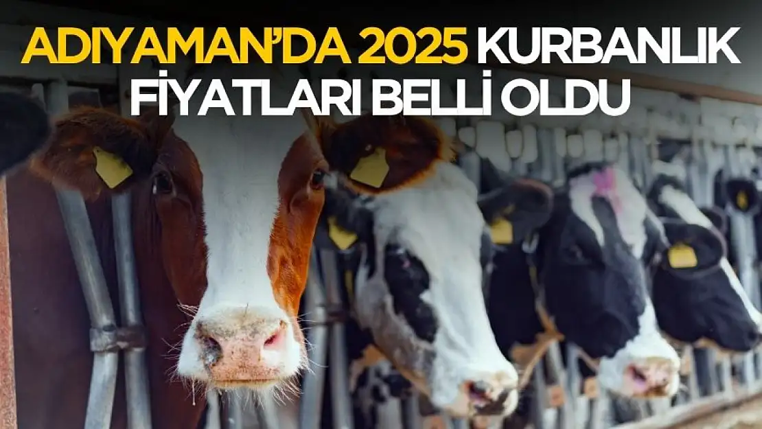 Adıyaman'da 2025 kurbanlık fiyatları ne kadar?