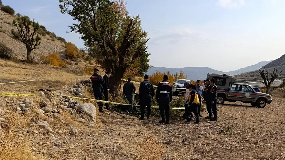 Adıyaman'da Ağaç budarken düşen adam hayatını kaybetti