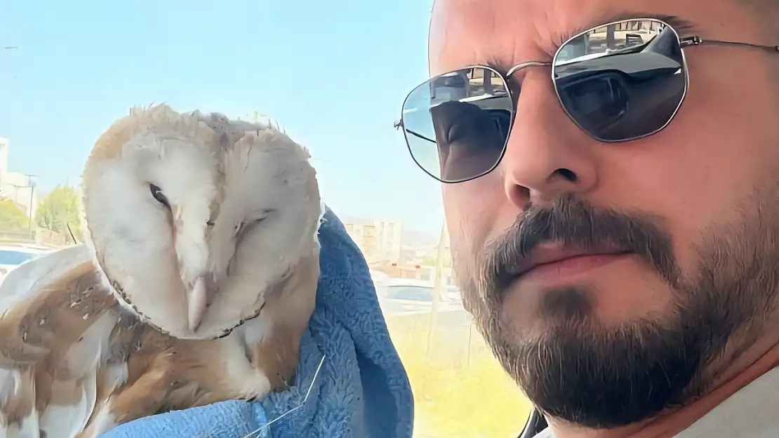 Adıyaman'da bitkin halde Bayağı Peçeli Baykuş bulundu