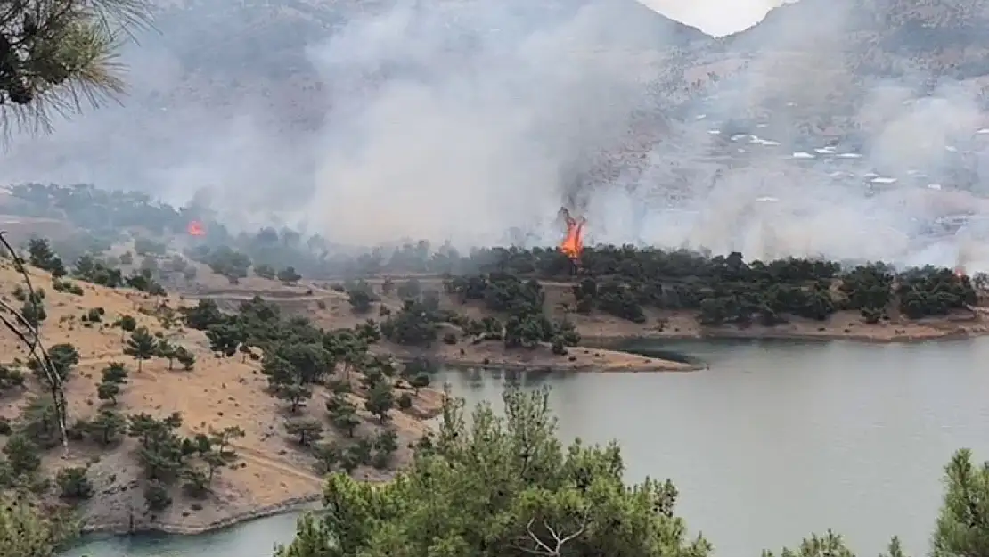 Adıyaman'da ormanlık alanda yangın