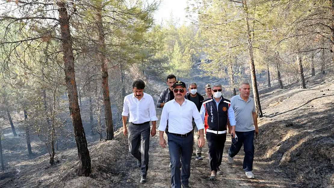 Adıyaman'ın Besni İlçesindeki Orman Yangını Kontrol Altına Alındı