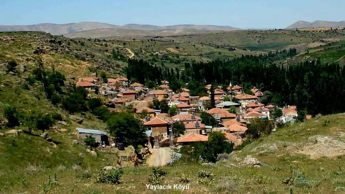 Adıyaman'ın göç vermeyen tek köyü! İşte örnek model