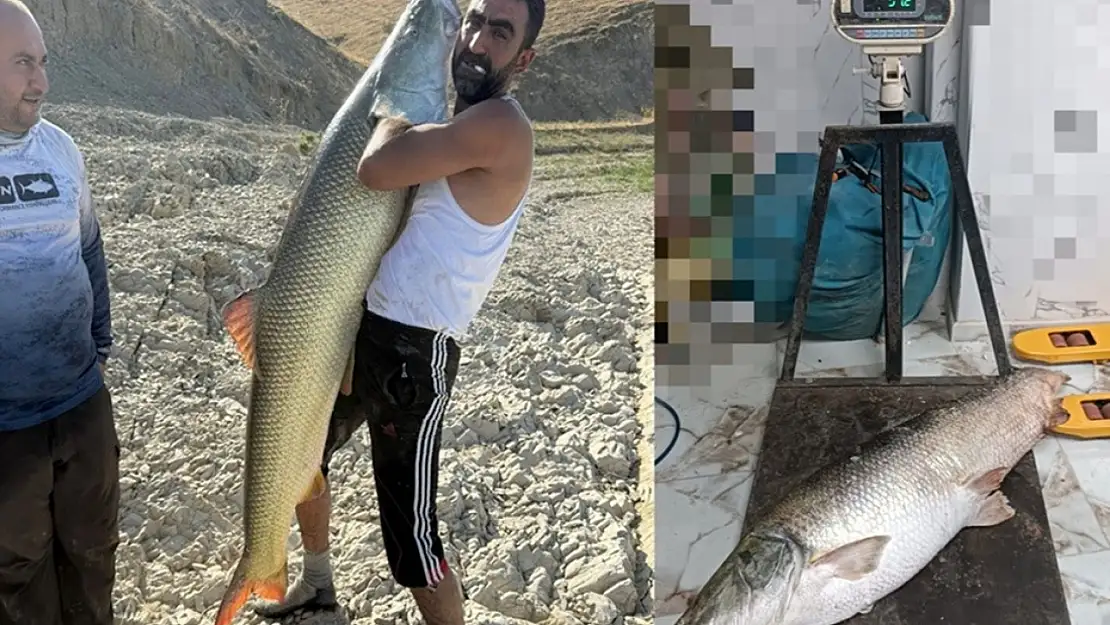Adıyamanlı balıkçılar oltayla 51 Kilo 200 gram ağırlığında Fırat Turnası yakaladı