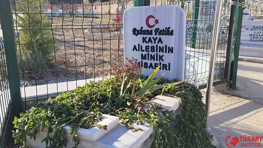 Aile mezarlığının minik misafiri