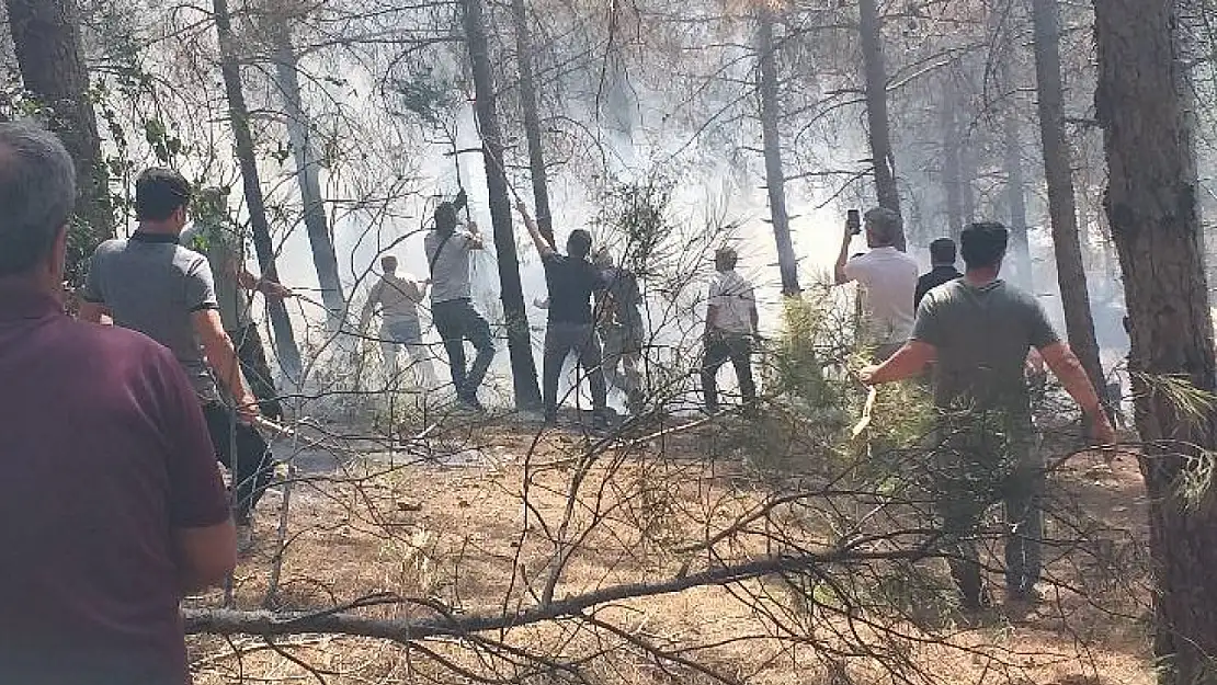 Ali Dağı mesire alanında çıkan yangını vatandaşlar söndürdü