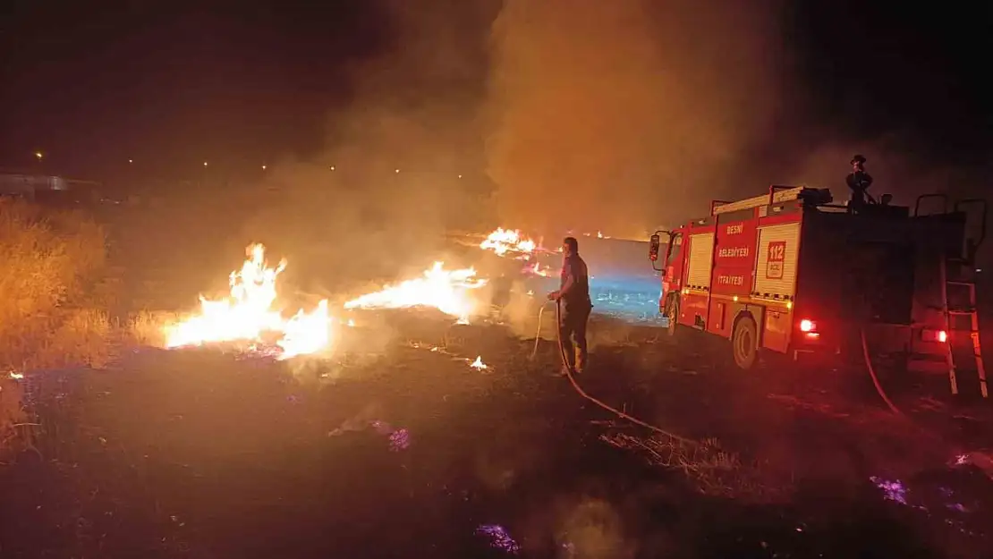 Anız yangınında ağaçlar, direkler ve kablolar zarar gördü