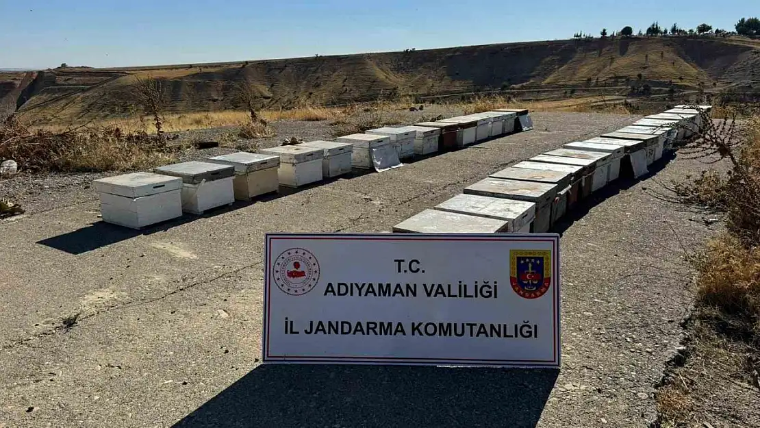 Arı kovanlarını çalan şahıs yakalandı